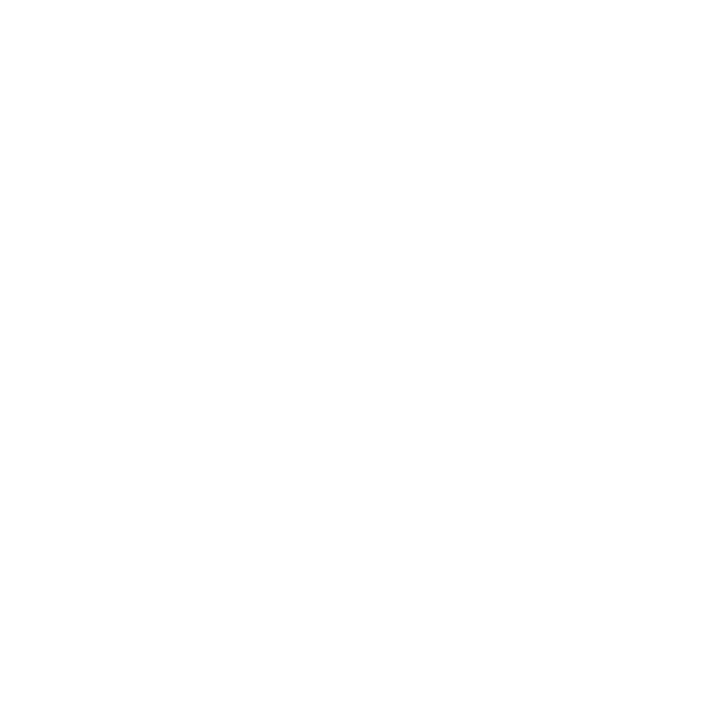 Logo_CIN